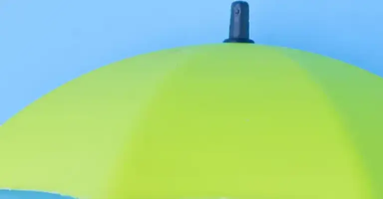 Top of an open umbrella
