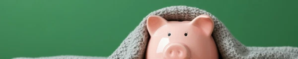 Pig In Blanket Web Banner