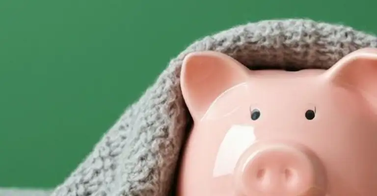 Pig In Blanket Web Banner