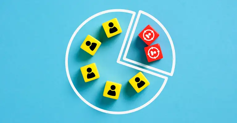 Segmentation Pie Chart Website