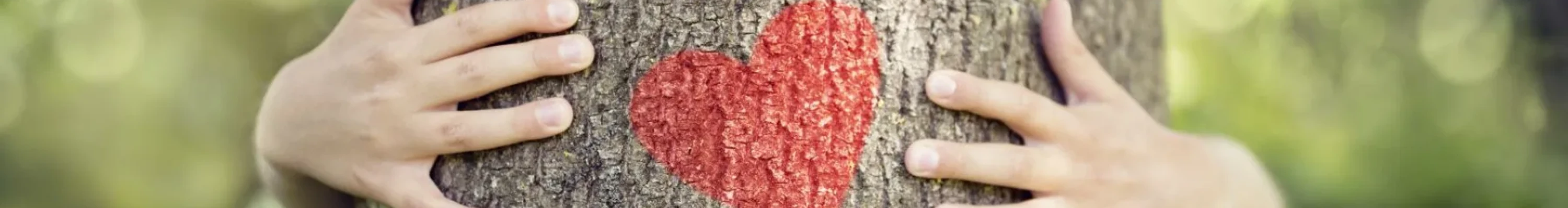 Tree being hugged with a heart painted on it