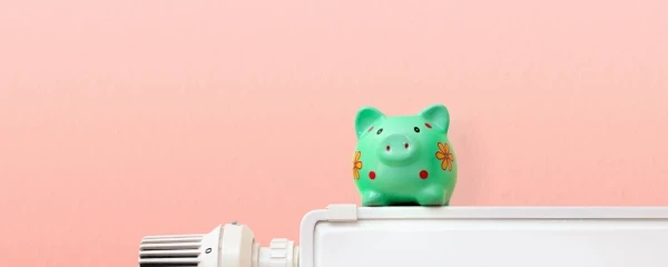 Green pig money box