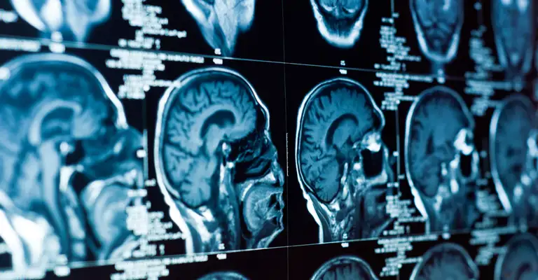 Shutterstock 107572736 (1)