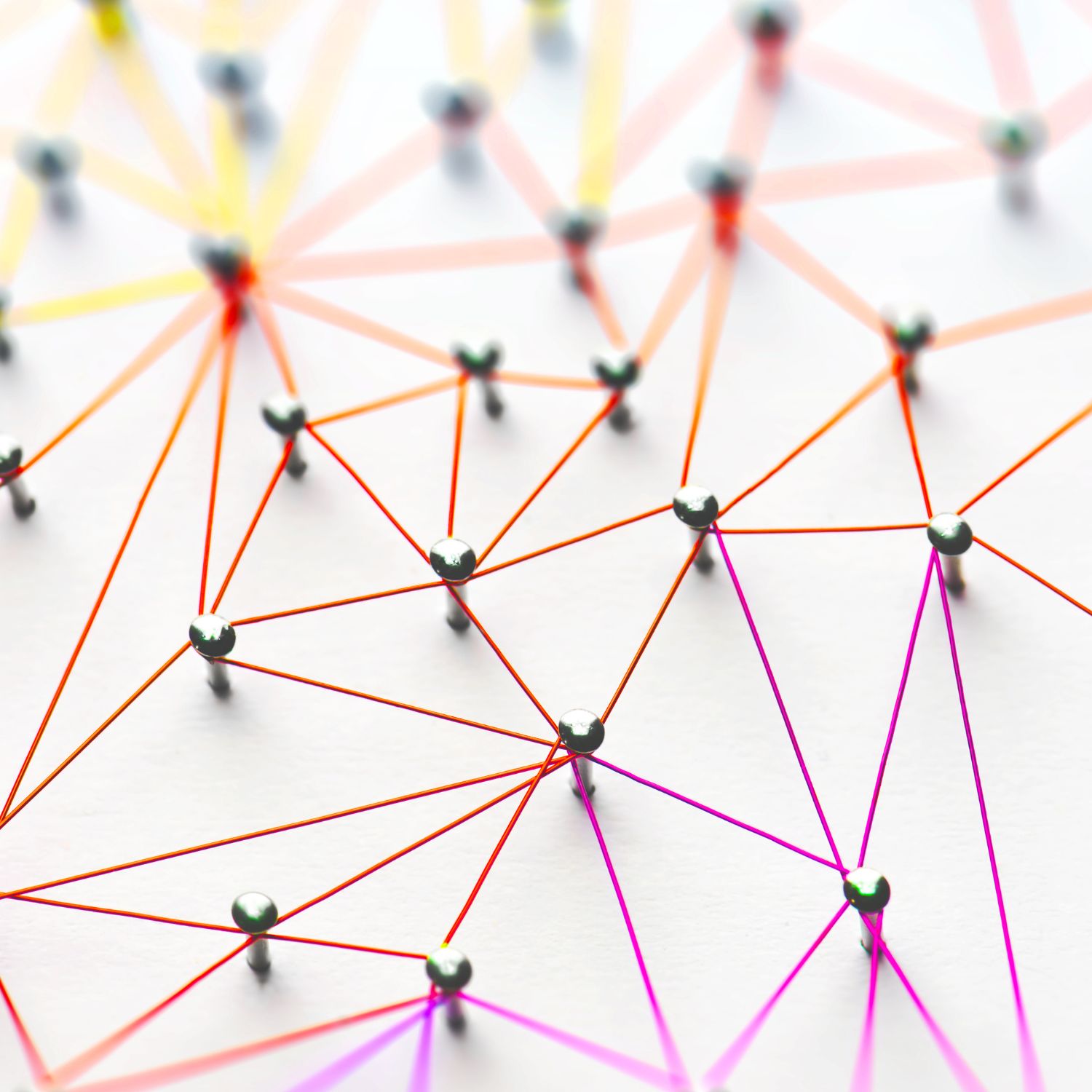 Shared Care Record Page Thumbnail