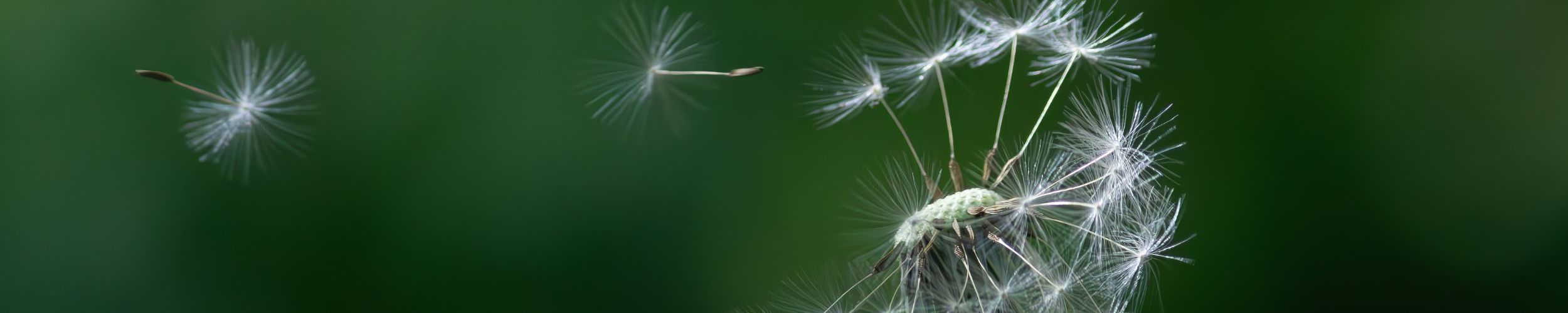 End Of Life Care 100K Banner News