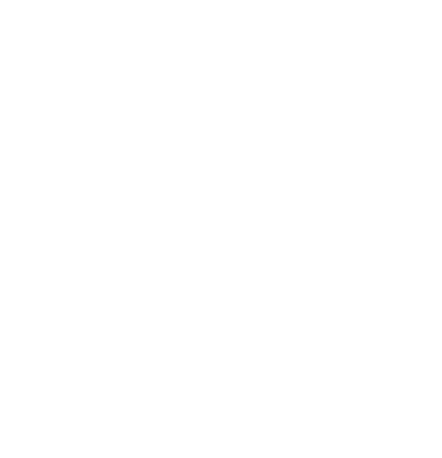 Graphnet Icons White Partners