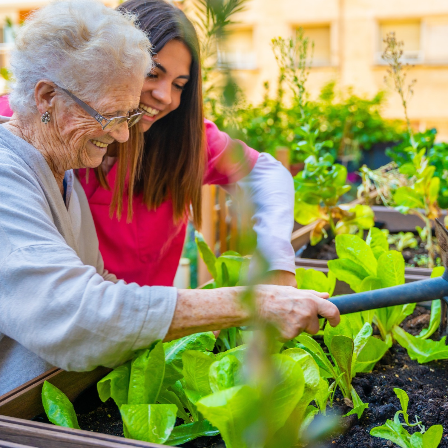 Web Thumb Nail Solutions Shared Care Social Care
