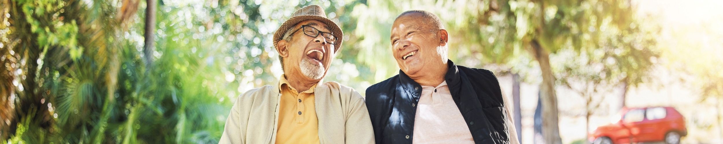 Web Banner Living And Ageing Well