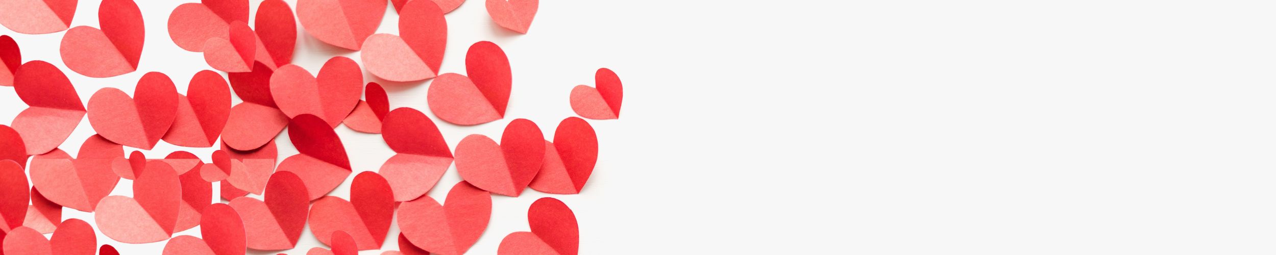Respect Web Banner