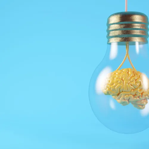Bulb Brain