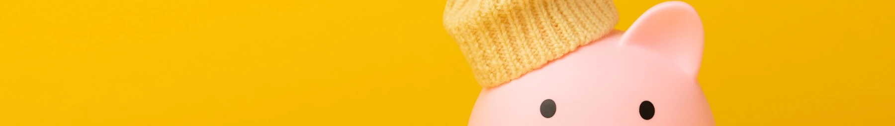 Piggy Bank Hat Website