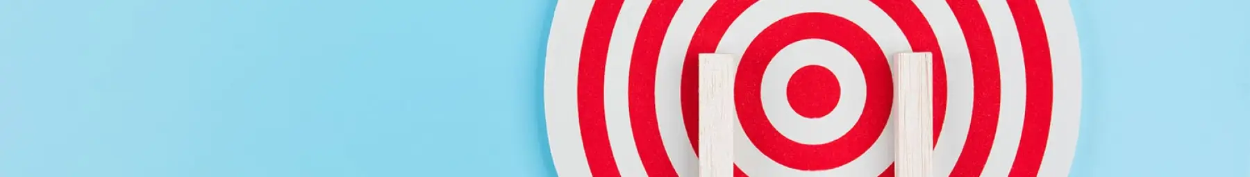 Population health target and ladder website resized